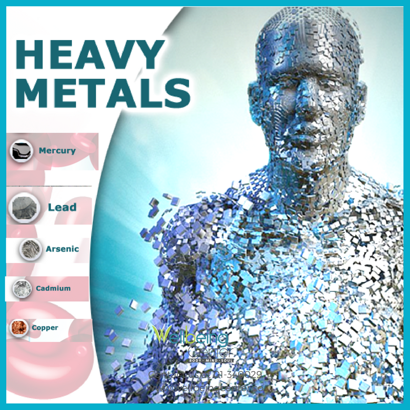 Lead And Heavy Metal Test Kit